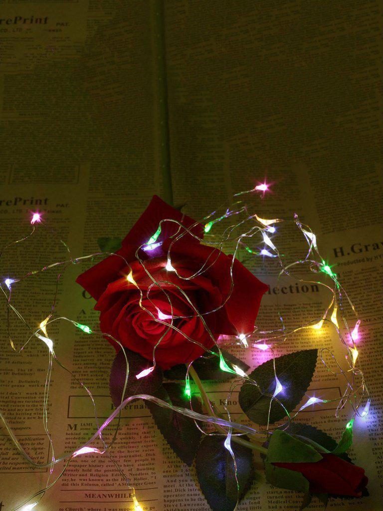 USB Charger Copper String Light With 50pcs LED-others-Des Mess