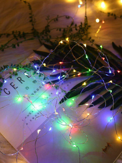 USB Charger Copper String Light With 50pcs LED-others-Des Mess