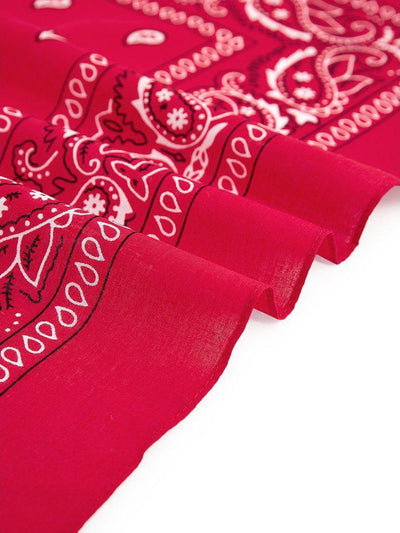 Paisley Print Bandana-accessories-Des Mess