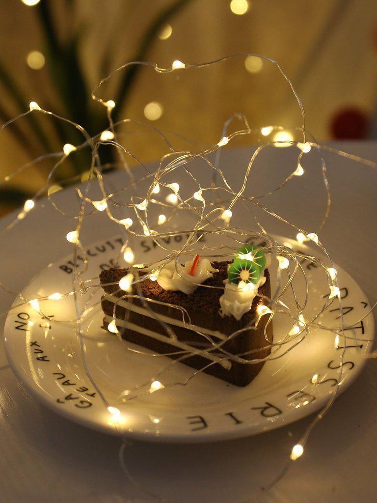 USB Charger Copper String Light With 50pcs LED-others-Des Mess