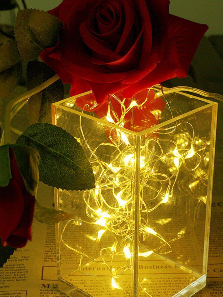 USB Charger Copper String Light With 50pcs LED-others-Des Mess