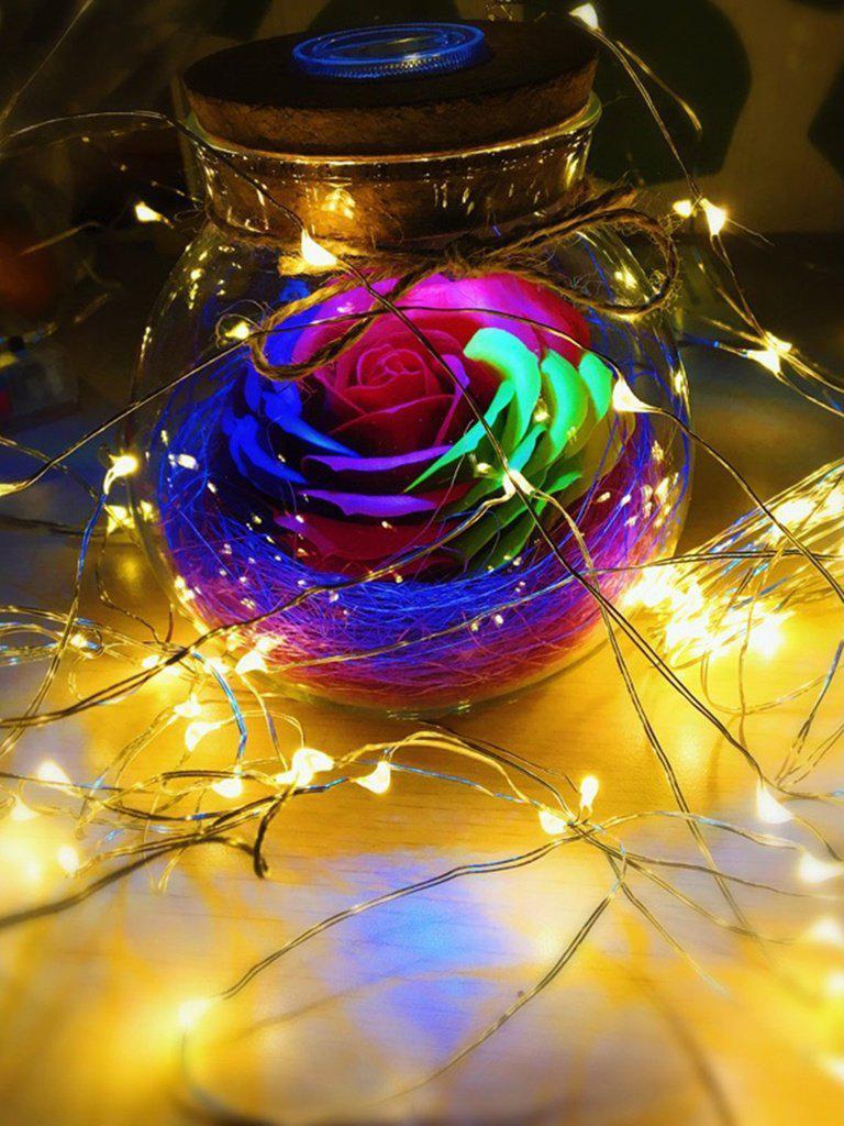 USB Charger Copper String Light With 50pcs LED-others-Des Mess