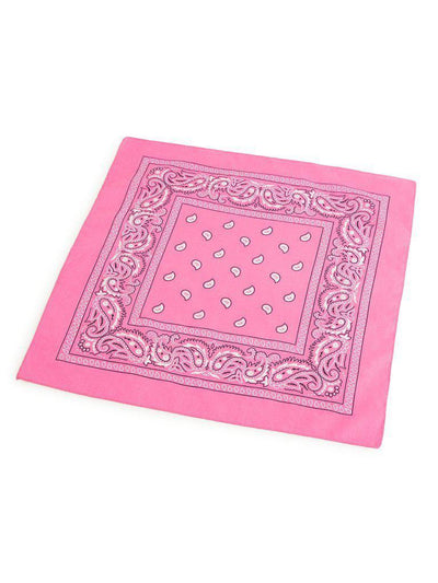 Paisley Print Bandana-accessories-Des Mess