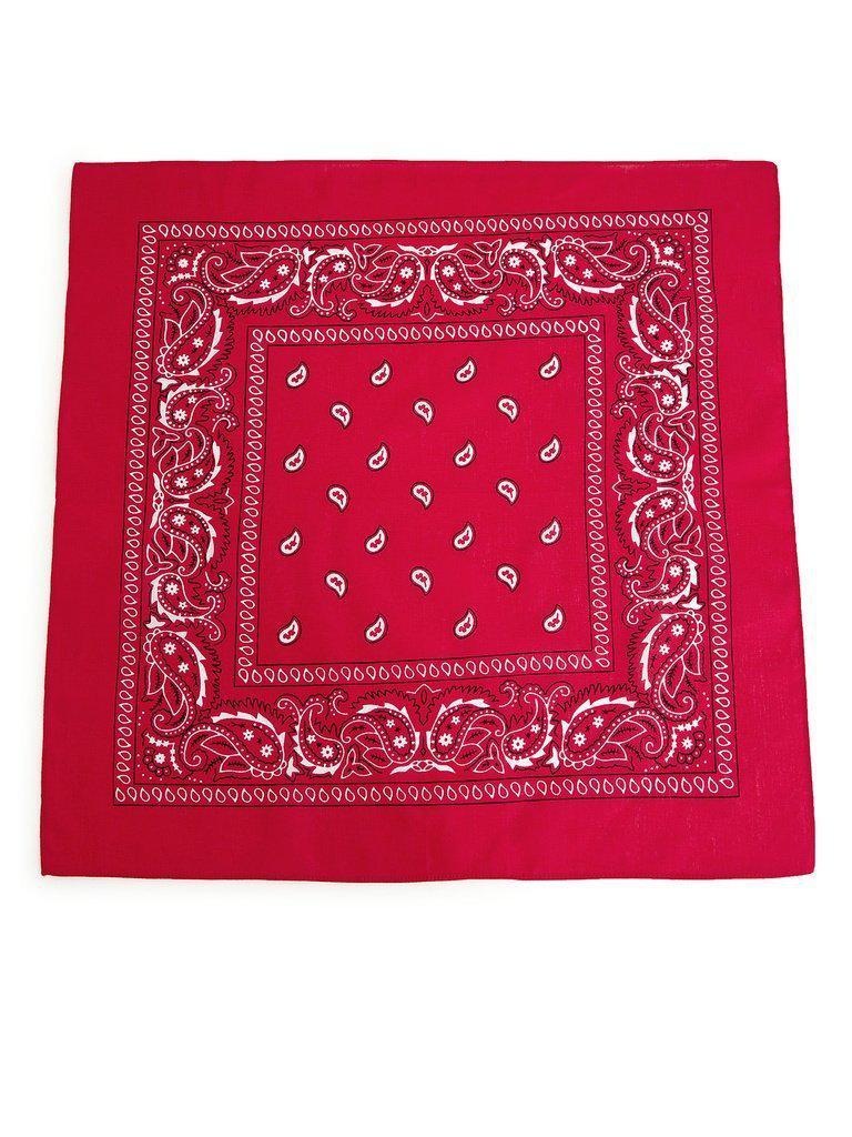 Paisley Print Bandana-accessories-Des Mess
