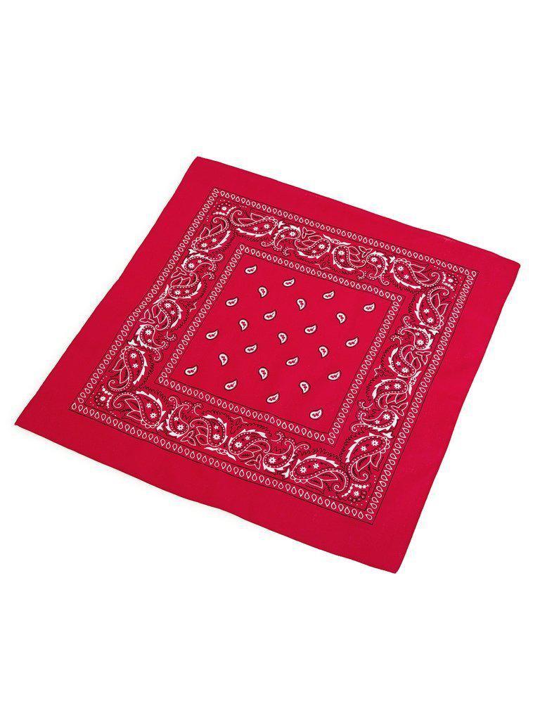 Paisley Print Bandana-accessories-Des Mess