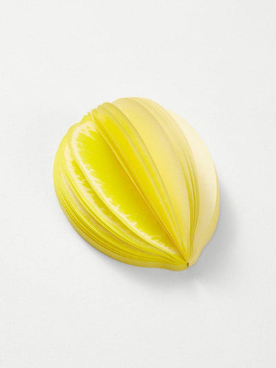 Fruit Shaped Sticky Memo Pad 150sheets-others-Des Mess