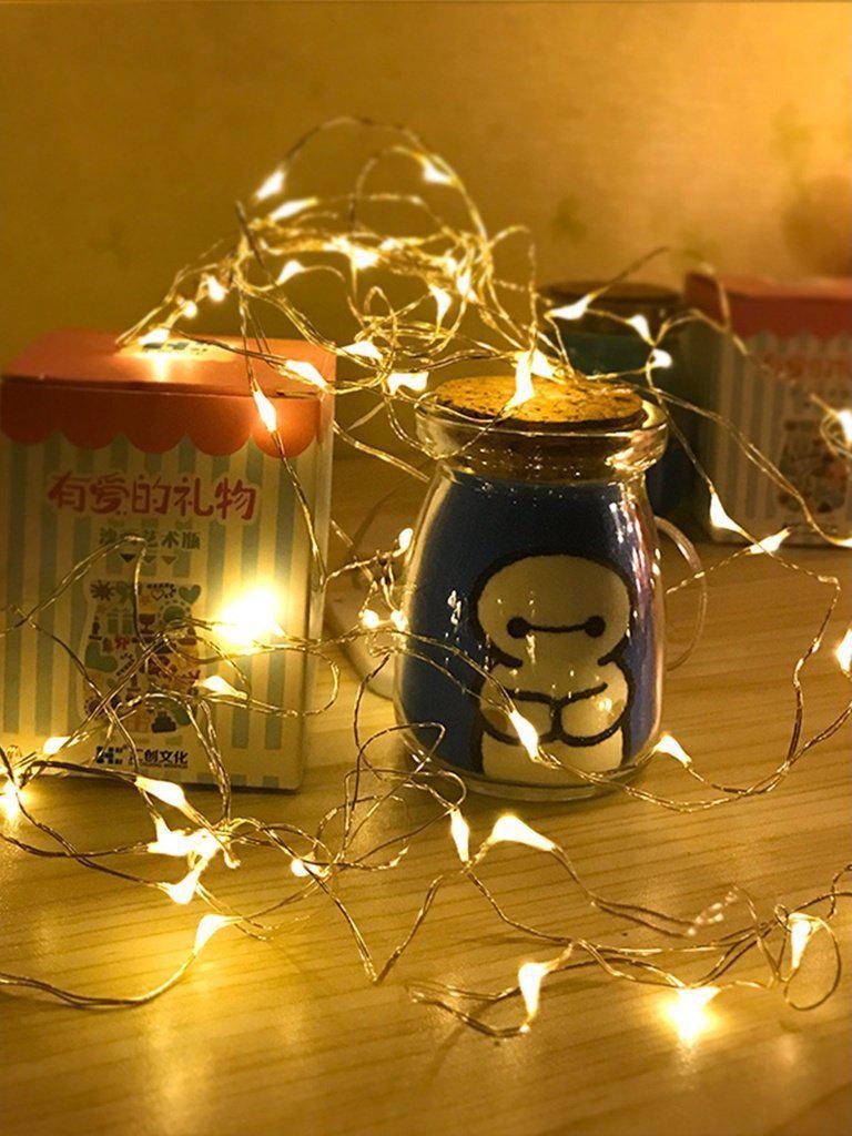 USB Charger Copper String Light With 50pcs LED-others-Des Mess